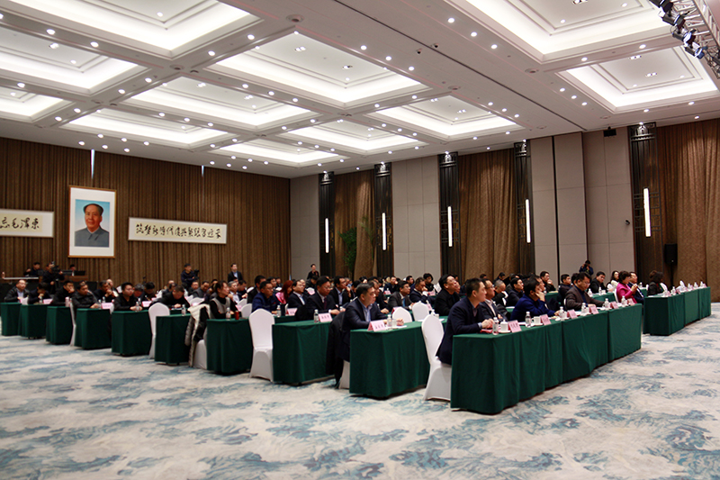 民營企業(yè)高質(zhì)量發(fā)展，德才集團再獲殊榮領(lǐng)跑民企(圖4)