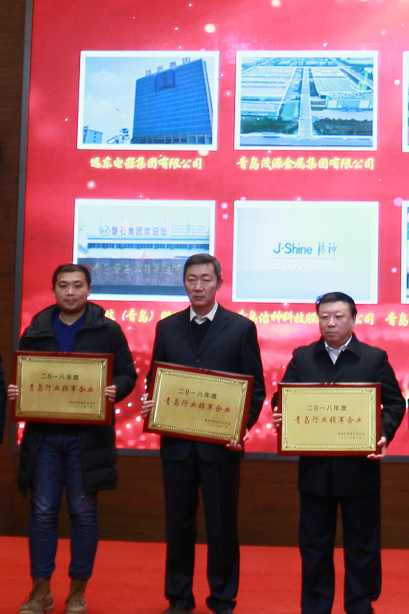 民營企業(yè)高質(zhì)量發(fā)展，德才集團再獲殊榮領(lǐng)跑民企(圖6)
