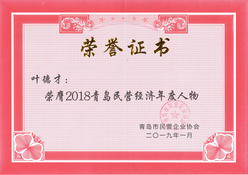 民營企業(yè)高質(zhì)量發(fā)展，德才集團再獲殊榮領(lǐng)跑民企(圖7)