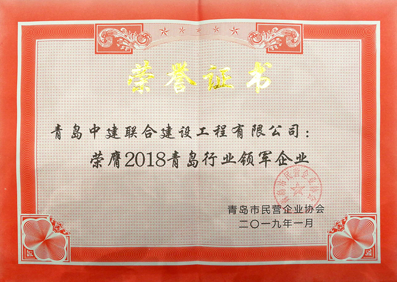 民營企業(yè)高質(zhì)量發(fā)展，德才集團再獲殊榮領(lǐng)跑民企(圖8)